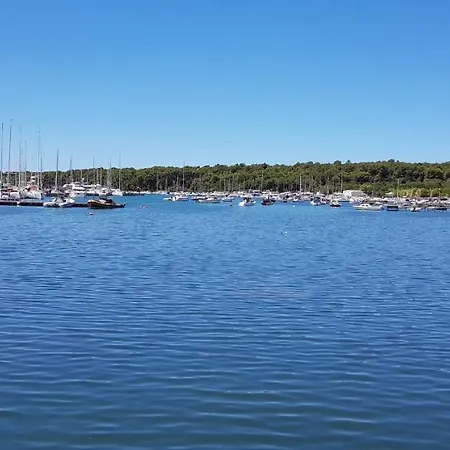 Hausboot - Floating House Water Lily Πλωτό κατάλυμα *