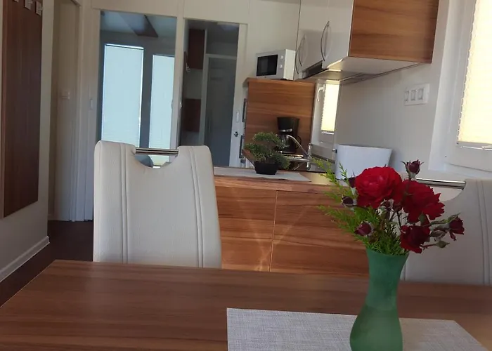 Hausboot - Floating House Water Lily 船屋 普拉