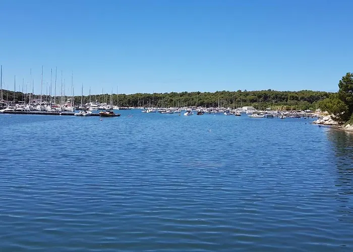 Hausboot - Floating House Water Lily 船屋 *